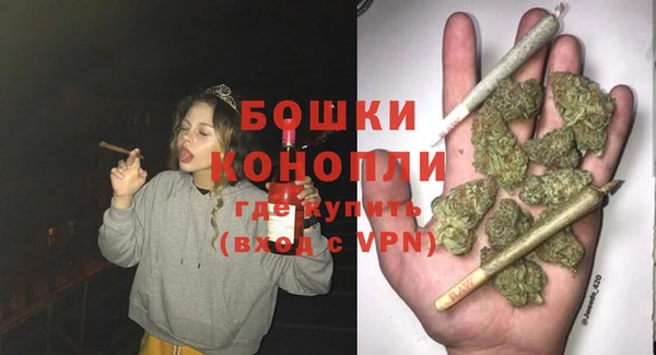 трава Аркадак