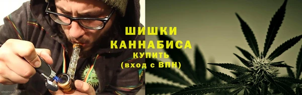 трава Аркадак