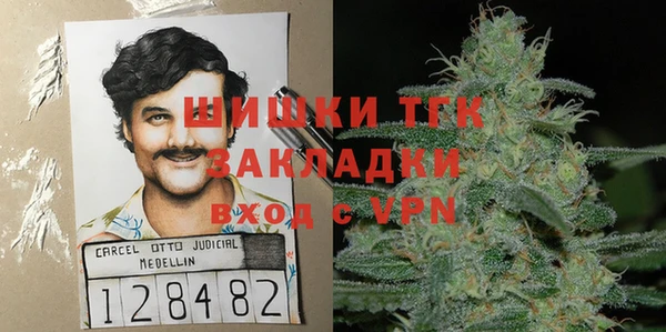 трава Аркадак