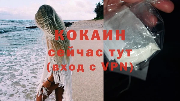 гидра Арсеньев